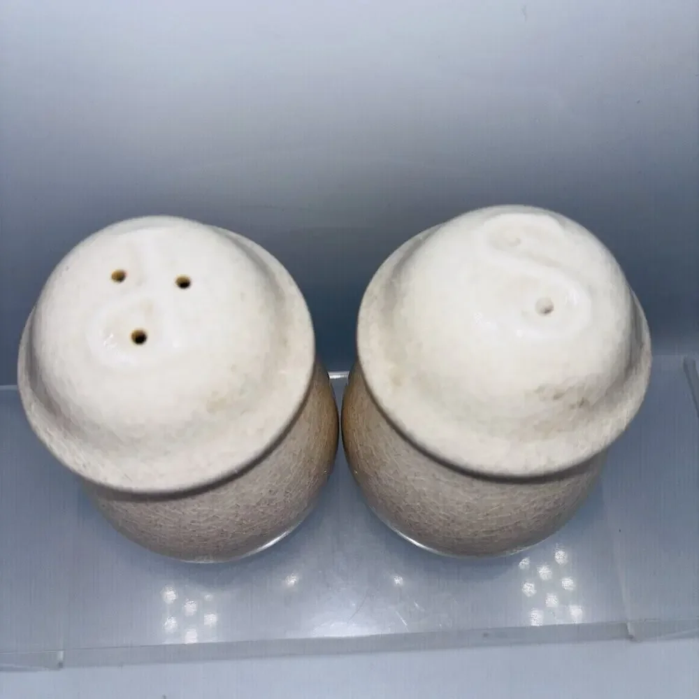 Salt Pepper Shakers Marmalade Geese Apple Blue Ribbon International Vtg 4